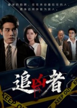 追凶者_枫叶短剧聚合网