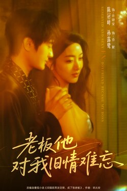 老板他对我旧情难忘_枫叶短剧聚合网