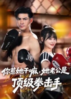 你惹她干嘛，她老公是顶级拳击手_枫叶短剧聚合网