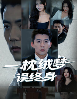 一枕绒梦误终身_枫叶短剧聚合网