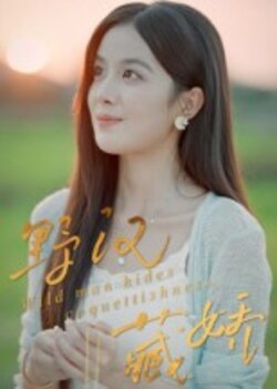 野汉藏娇_枫叶短剧聚合网