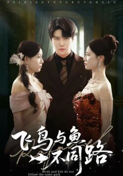 飞鸟与鱼不同路_枫叶短剧聚合网