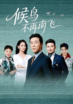 候鸟不再南飞_枫叶短剧聚合网