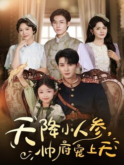 天降小人参，帅府宠上天_枫叶短剧聚合网