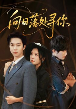 向日落处寻你_枫叶短剧聚合网