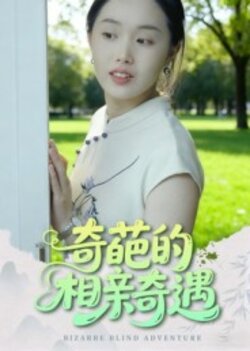 奇葩的相亲奇遇_枫叶短剧聚合网