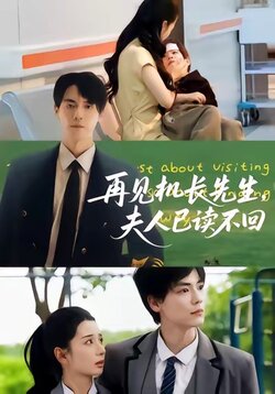 再见机长先生夫人已读不回_枫叶短剧聚合网