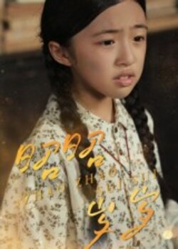 昭昭岁岁_枫叶短剧聚合网