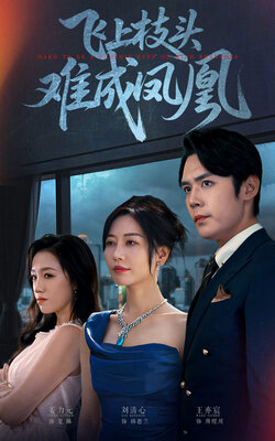 飞上枝头难成凤凰_枫叶短剧聚合网