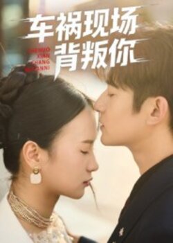 车祸现场背叛你_枫叶短剧聚合网