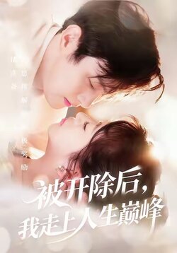 被开除后我走上人生巅峰_枫叶短剧聚合网