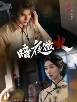 暗夜微火_枫叶短剧聚合网