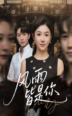 风雨皆是你_枫叶短剧聚合网
