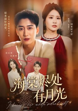 海棠烬处有月光_枫叶短剧聚合网