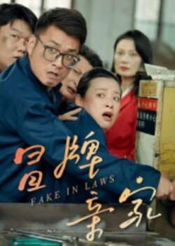 冒牌亲家_枫叶短剧聚合网