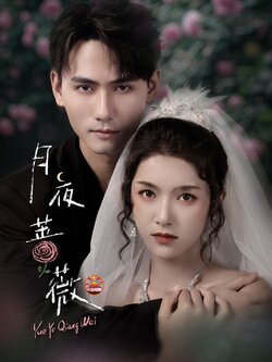 月夜蔷薇_枫叶短剧聚合网