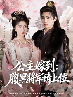 公主嫁到：腹黑将军请上位_枫叶短剧聚合网