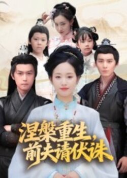 涅槃重生，前夫请伏诛_枫叶短剧聚合网