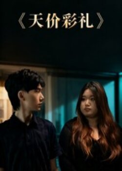 天价彩礼_枫叶短剧聚合网