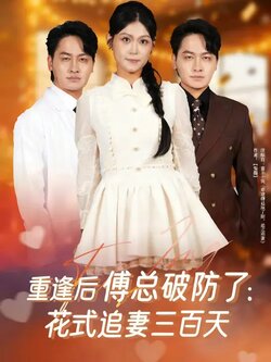 重逢后傅总破防了：花式追妻三百天_枫叶短剧聚合网