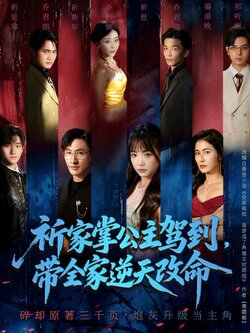 祈家掌公主驾到，带全家逆天改命_枫叶短剧聚合网