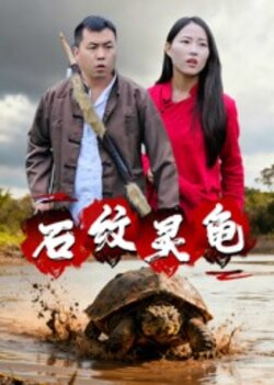 石纹灵龟_枫叶短剧聚合网