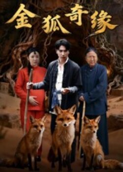 金狐奇缘_枫叶短剧聚合网