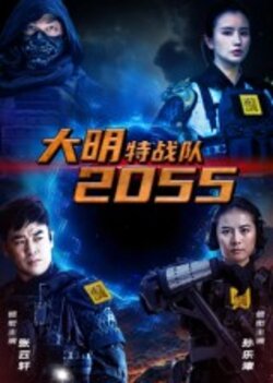 大明特战队2055_枫叶短剧聚合网