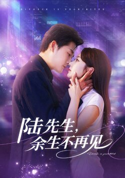 陆先生，余生不再见_枫叶短剧聚合网