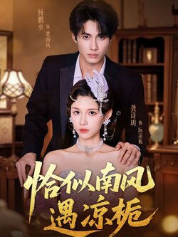 恰似南风遇凉栀_枫叶短剧聚合网