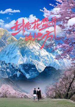 去桃花盛开的地方