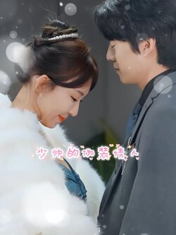 少帅的伪装情人