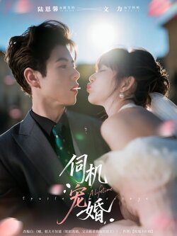 伺机宠婚_枫叶短剧聚合网