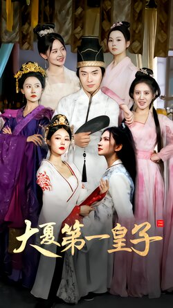 大夏第一皇子