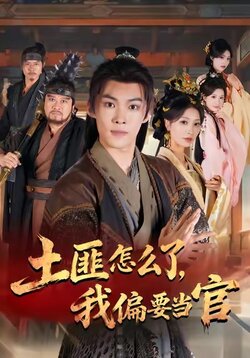 土匪怎么了，我偏要当官_枫叶短剧聚合网