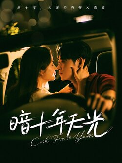 暗十年天光_枫叶短剧聚合网
