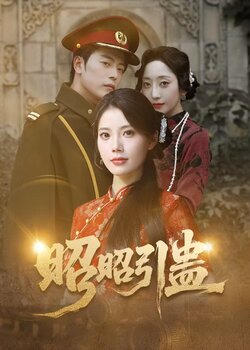 昭昭引蛊_枫叶短剧聚合网