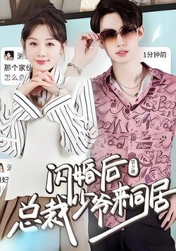 闪婚后，总裁少爷来同居