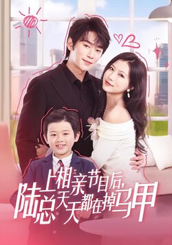 上相亲节目后，陆总天天都在掉马甲