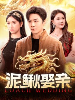 泥鳅娶亲_枫叶短剧聚合网