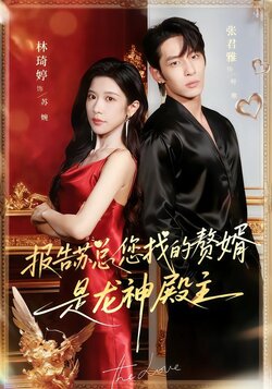 报告苏总，您找的赘婿是龙神殿主_枫叶短剧聚合网