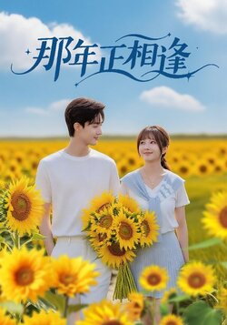 那年正相逢_枫叶短剧聚合网