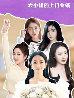 大小姐的上门女婿_枫叶短剧聚合网