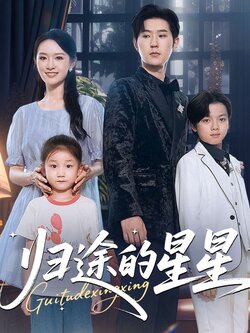 归途的星星_枫叶短剧聚合网