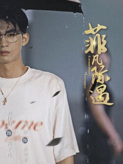 菲凡际遇_枫叶短剧聚合网