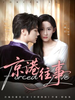 京港往事_枫叶短剧聚合网