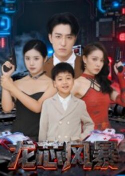 龙芯风暴_枫叶短剧聚合网