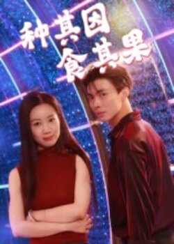 种其因，食其果_枫叶短剧聚合网