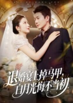 退婚宴上掉马甲，白月光悔不当初_枫叶短剧聚合网