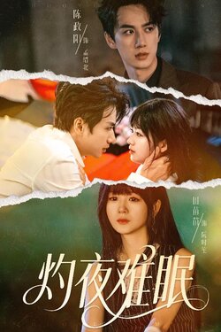 灼夜难眠_枫叶短剧聚合网